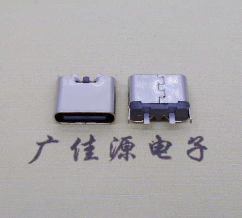 宣城铆合式type c2p母座两脚插板尾部带卡扣