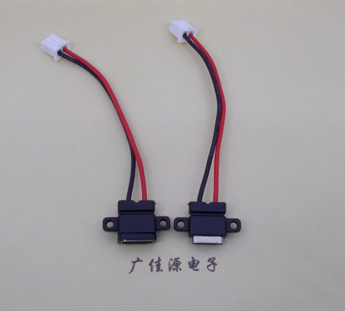 宣城简易type c2p防水母座注塑成型带双螺丝孔焊线式带线带接线端子单充电功能